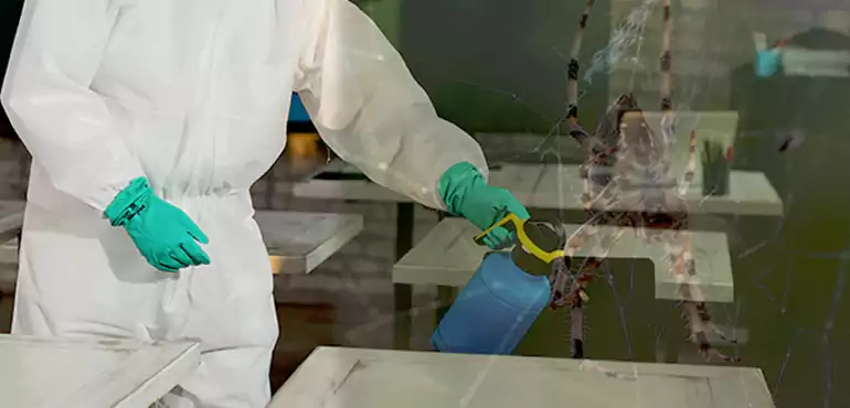 Why Buyers Still Want Homes With Pest Infestations in Jeffersontown, KY?