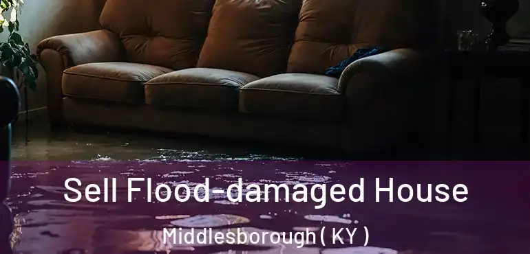  Sell Flood-damaged House Middlesborough ( KY )
