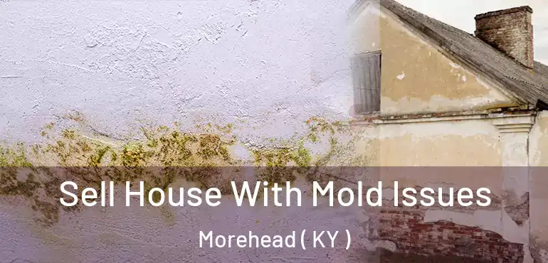  Sell House With Mold Issues Morehead ( KY )