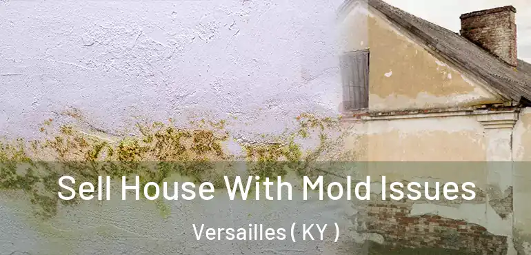  Sell House With Mold Issues Versailles ( KY )